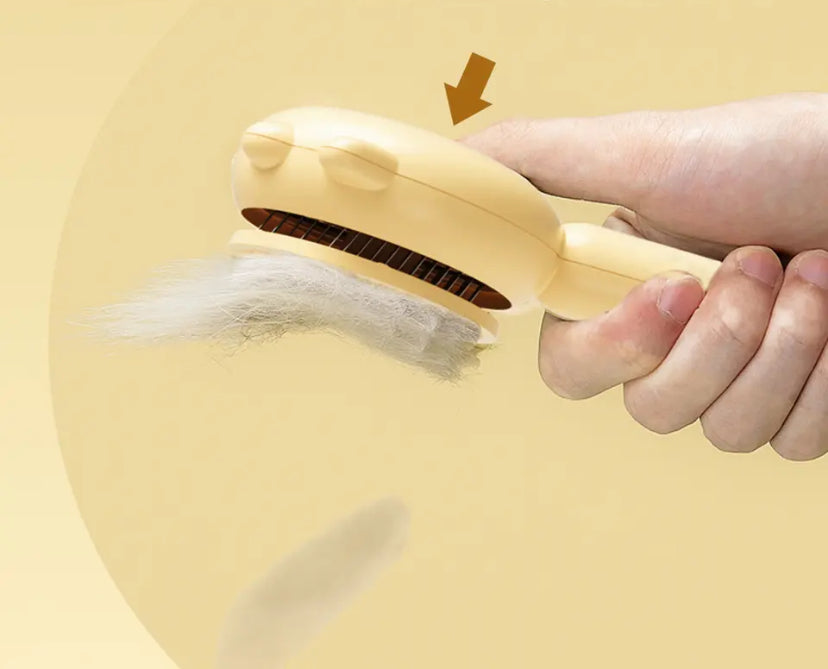 Accessoire toilettage chat pratique en main avec poils détachés pour un toilettage facile