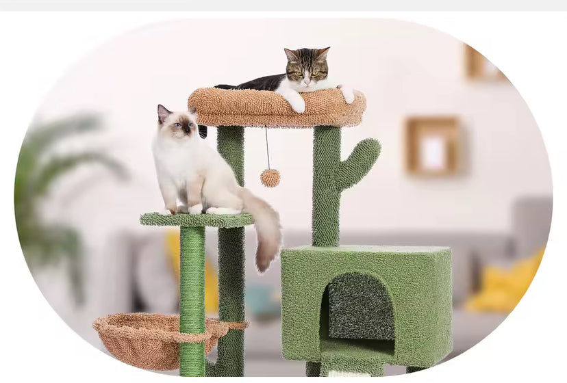 Arbre à Chat Multi-Niveaux avec Griffoir Vertigos Paris