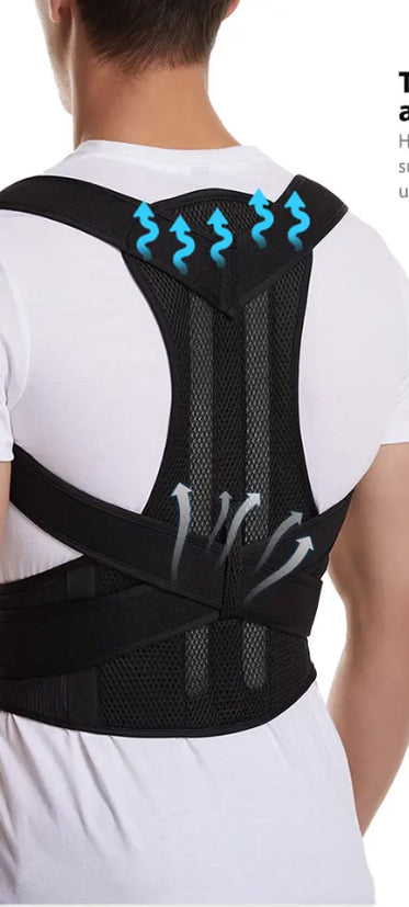 Ceinture lombaire universelle offrant maintien sûr au dos