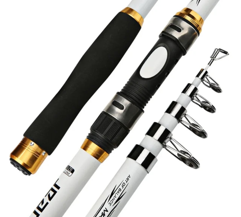 Canne à Pêche Professionnelle Télescopique - Carbone Vertigos Paris