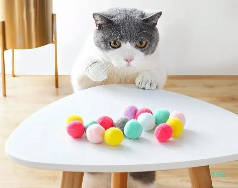 Jeux pour Chat Vertigos Paris