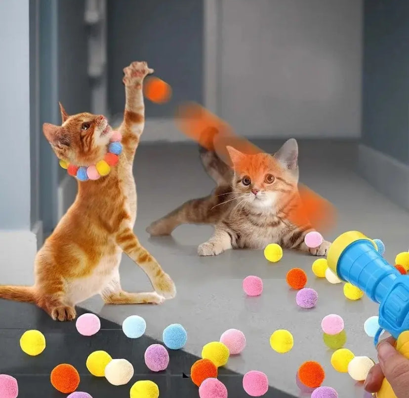 Jeux pour Chat