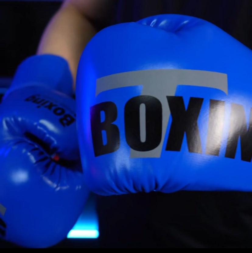 Gants de Boxe Professionnels 6-12oz - Enfants et Adultes Vertigos Paris