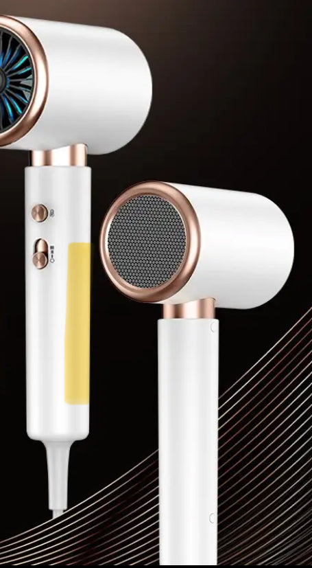 sèche-cheveux professionnel 2-en-1