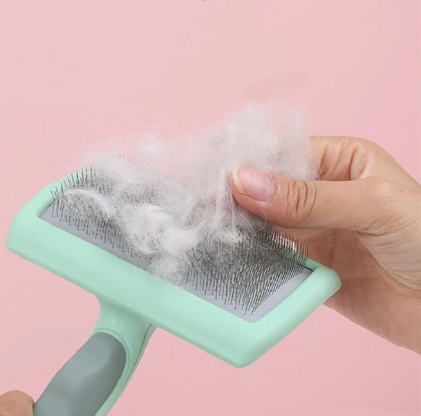 Brosse de Massage pour chiens et chats Vertigos Paris