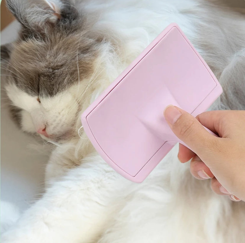 Brosse de Massage pour chiens et chats Vertigos Paris